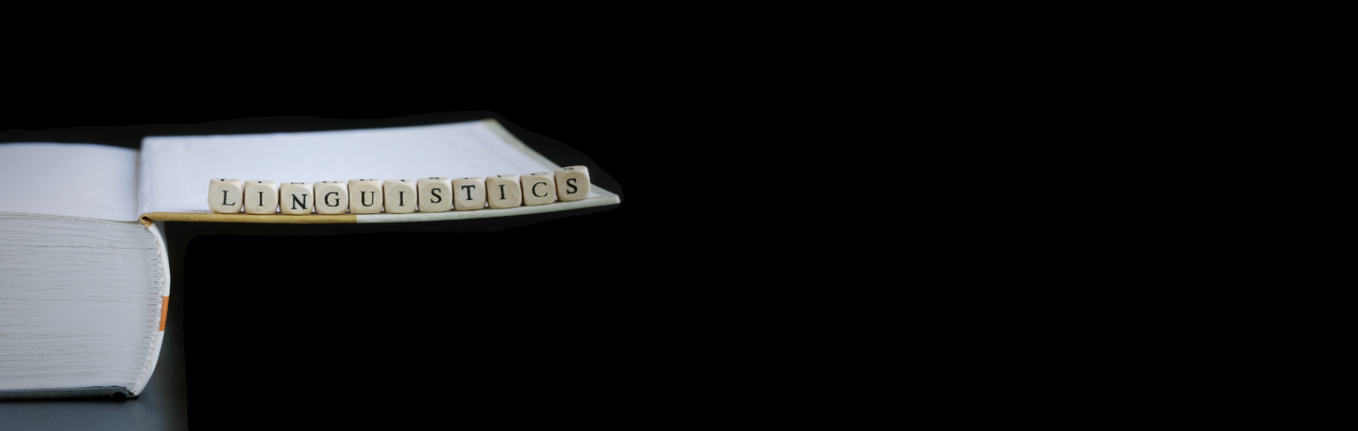 ברוכים הבאים לחוג לבלשנות