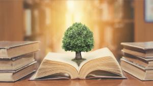 לפרוץ את תחומי המחקר, הידע וההוראה- סדרת הרצאות