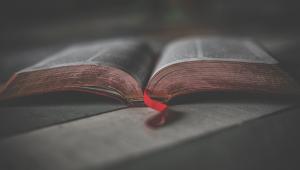 קריאות רעננות בתנ"ך- סדרת הרצאות בתשפ"א