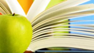 מחקר היסטורי ויצירה תיעודית: המקרה של המעברות