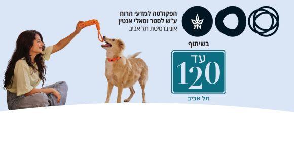 תמונת קישוט