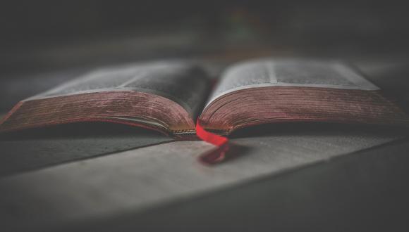 קריאות רעננות בתנ"ך- סדרת הרצאות בתשפ"א